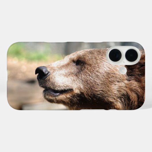 Meister Bruin.. Case-Mate iPhone Hülle (Rückseite (Horizontal))