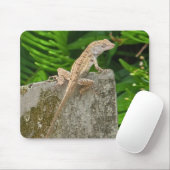 Meister der Tarnung Mousepad (Mit Mouse)