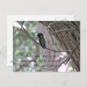 Meister Eckhart Zitat Hummingbird Postkarte (Vorne/Hinten)