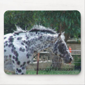 Meister lenkender Stallion Mousepad