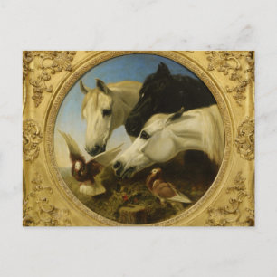 Meisterpferd- und Taubenmalerei von John Herring Postkarte