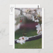 Meitokai Postkarte 1 (Vorne/Hinten)