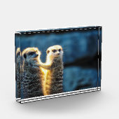 Mekka Fotoblock (Links)