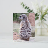 Mekka Postkarte (Stehend Vorderseite)