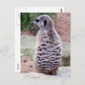 Mekka Postkarte (Vorne/Hinten)