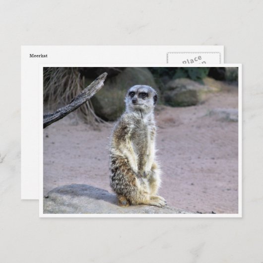 Mekka Postkarte (Vorne/Hinten)