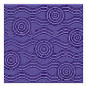 Melaleuca Poster (Vorderseite)