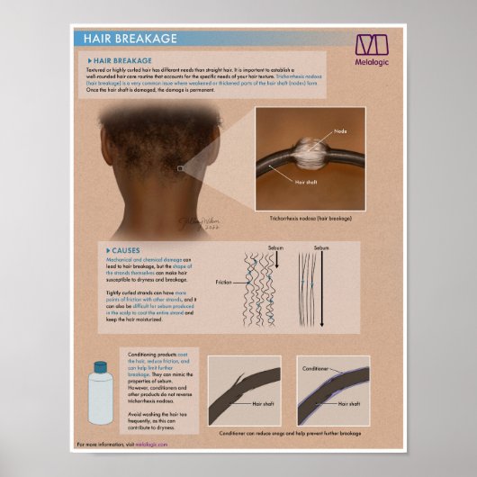 Melalogic Hair Breakfast Medical Poster (Vorne)