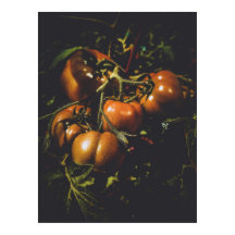 Melancholische rustikale Tomaten Vintage Farmhaus