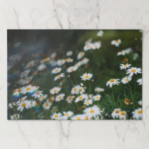 Melancholische und traumhafte Papier-Platzmatte Da