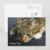 [Melancholy Cat] Ich vermisse dich Postkarte (Vorne/Hinten)