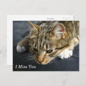 [Melancholy Cat] Ich vermisse dich Postkarte (Vorne/Hinten)