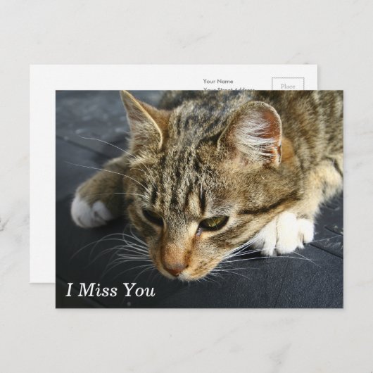 [Melancholy Cat] Ich vermisse dich Postkarte (Vorne/Hinten)
