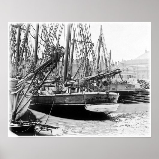 Melbourne, 1903: Das Alma Doepel Poster (Vorne)