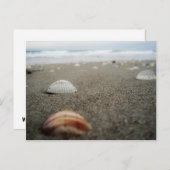 Melbourne Beach, Florida Postkarte (Vorne/Hinten)