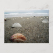 Melbourne Beach, Florida Postkarte (Vorderseite)