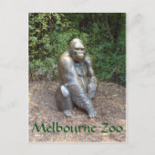 Melbourne Zoo Gorilla Postkarte (Vorderseite)