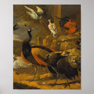 Melchior d'Hondecoeter - Vögel in einem Park Poster