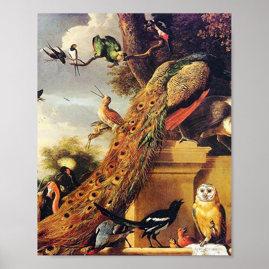 Melchior d'Hondecoeter - Vögel in einem Park Poster (Vorne)