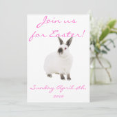 Melden Sie sich für Ostereinladungen an! Einladung (Stehend Vorderseite)