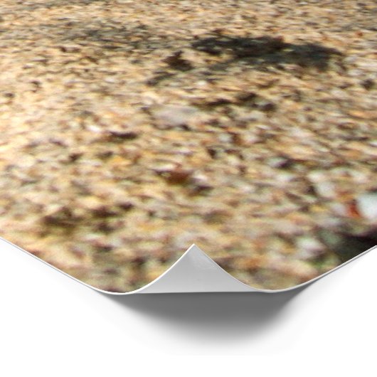 Mele Kalikimaka Flip Flops Poster (Ecke)