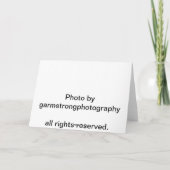 Mele Kalikimaka Plumeria Feiertagskarte (Rückseite)