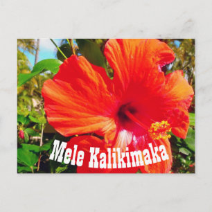 Mele Kalikimaka Postcard Postkarte