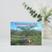 Mele Kalikimaka the Island Way Postkarte (Stehend Vorderseite)