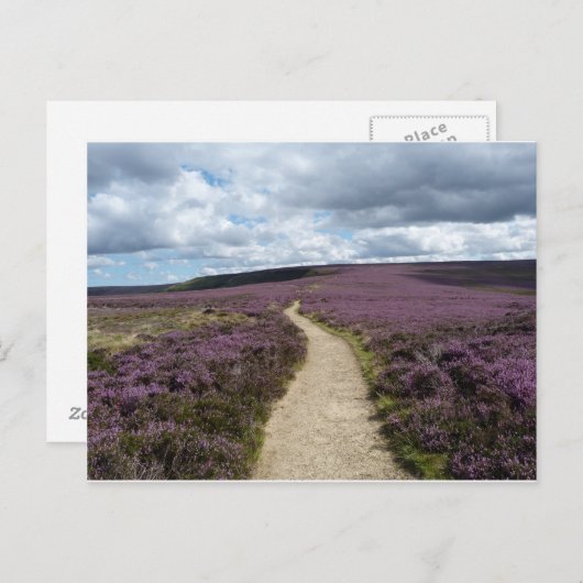 Meliert Postkarte (Vorne/Hinten)