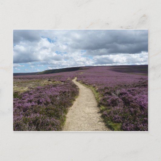 Meliert Postkarte (Vorderseite)