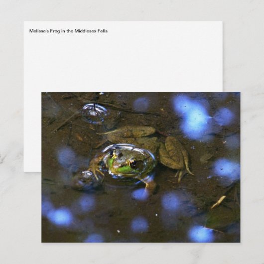 Melissa-Frosch Postkarte (Vorne/Hinten)