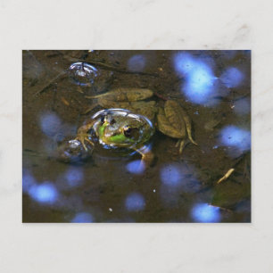 Melissa-Frosch Postkarte