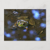 Melissa-Frosch Postkarte (Vorderseite)