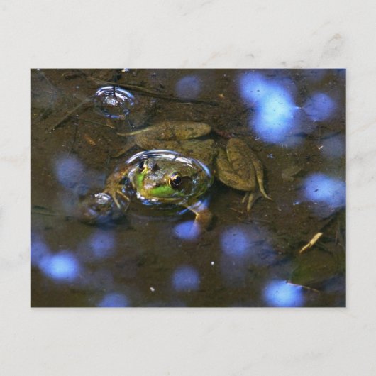 Melissa-Frosch Postkarte (Vorderseite)