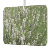 Melissa Lavender Autolufterfrischer (Links)