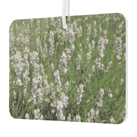 Melissa Lavender Autolufterfrischer (Links)