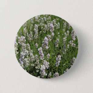 Melissa Lavender Button