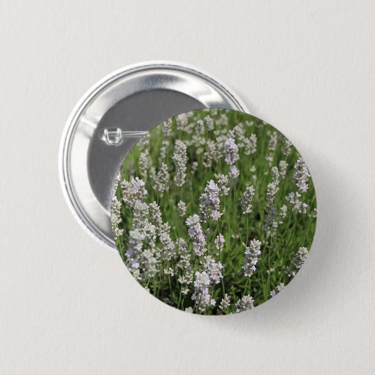 Melissa Lavender Button (Vorne & Hinten)