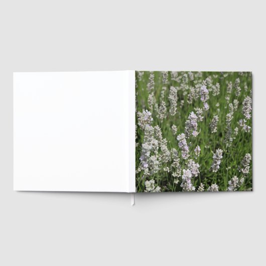 Melissa Lavender Gästebuch (Voll)
