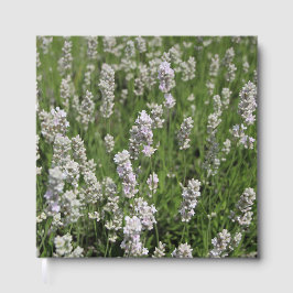 Melissa Lavender Gästebuch