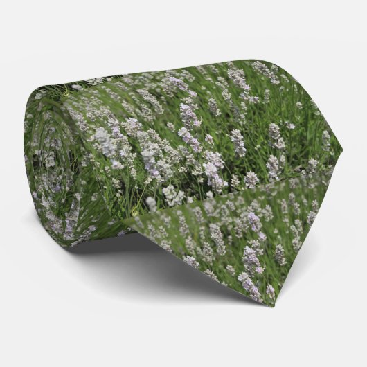 Melissa Lavender Krawatte (Gerollt)