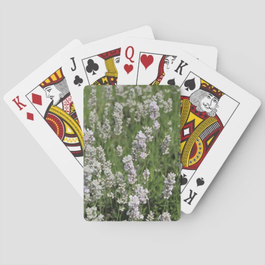 Melissa Lavender Playing Cards Spielkarten (Rückseite)
