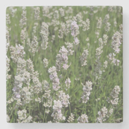 Melissa Lavender Steinuntersetzer