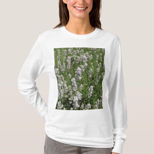 Melissa Lavender T-Shirt (Vorderseite)