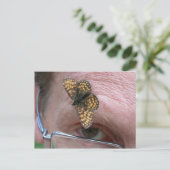 Melitaea athalia postkarte (Stehend Vorderseite)