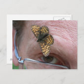 Melitaea athalia postkarte (Vorne/Hinten)