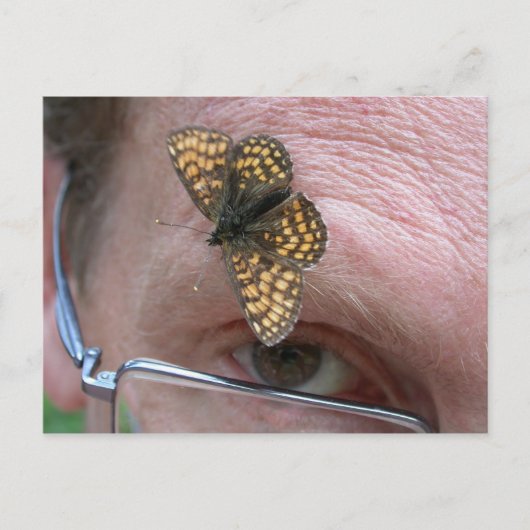 Melitaea athalia postkarte (Vorderseite)