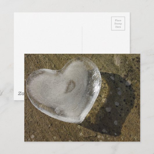 Melkherz Postkarte (Vorne/Hinten)