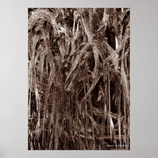 Melkholz Poster (Vorne)