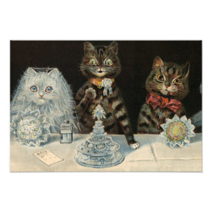 Mellin's Food Biscuits von Louis Wain Fotodruck